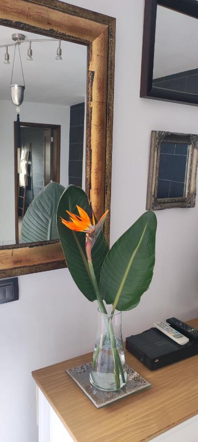 Casa Sandra En Las Norias Todoque Con Wi-Fi Los Llanos De Aridane Dış mekan fotoğraf